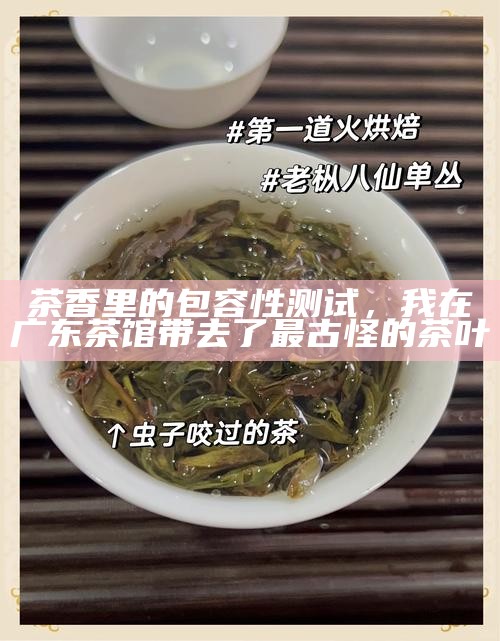 茶香里的包容性测试，我在广东茶馆带去了最古怪的茶叶