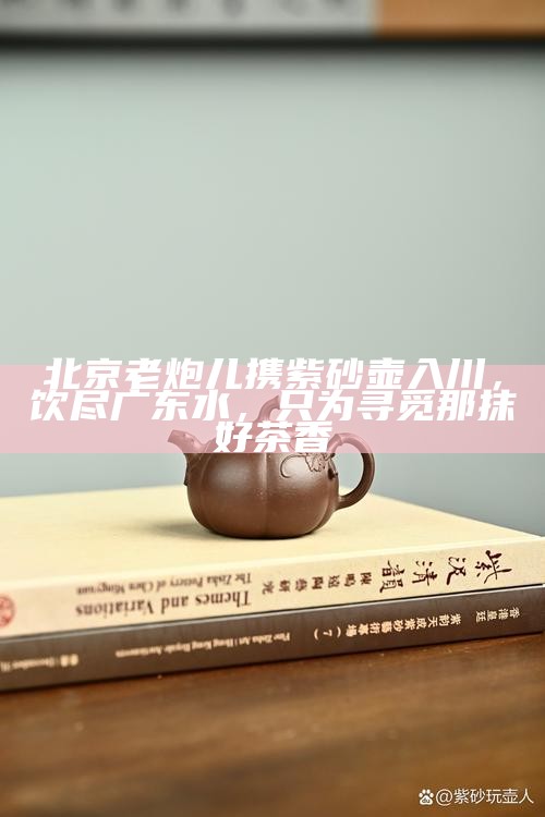 北京老炮儿携紫砂壶入川，饮尽广东水，只为寻觅那抹好茶香