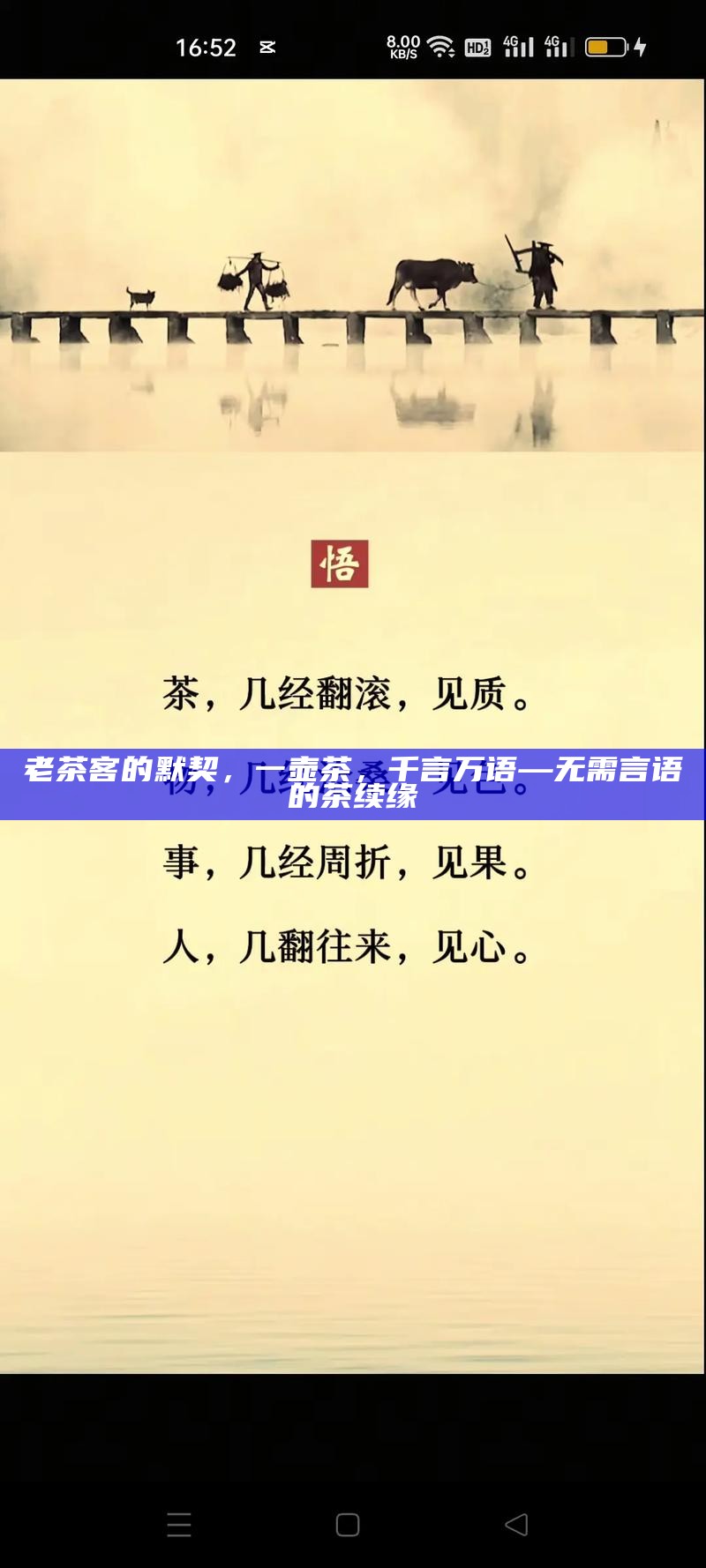 老茶客的默契，一壶茶，千言万语—无需言语的茶续缘